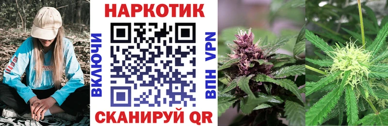 Все наркотики Волхов Героин  Амфетамин  Псилоцибиновые грибы  Бошки Шишки  Мефедрон  ГАШ 
