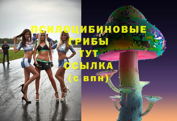 прущая мука Арсеньев