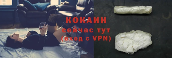 молекула духа Протвино
