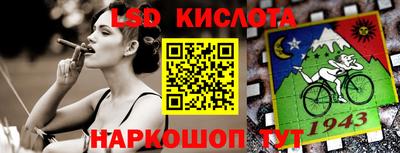 амф Новодвинск