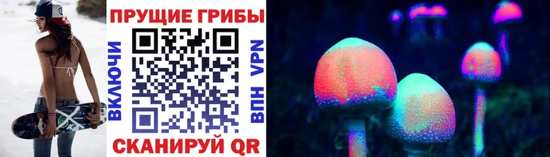 закладки  Волхов  Галлюциногенные грибы GOLDEN TEACHER 