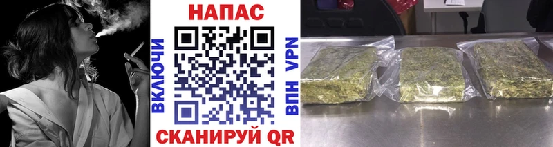 дарк нет как зайти  Волхов  Шишки марихуана тримм  где продают наркотики 